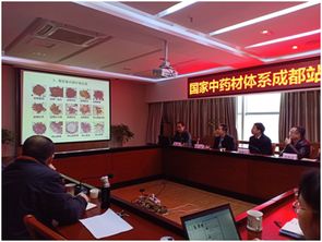 四川省農(nóng)業(yè)科學院 國家中藥材體系成都試驗站川芎育種與栽培技術研討會成功舉行
